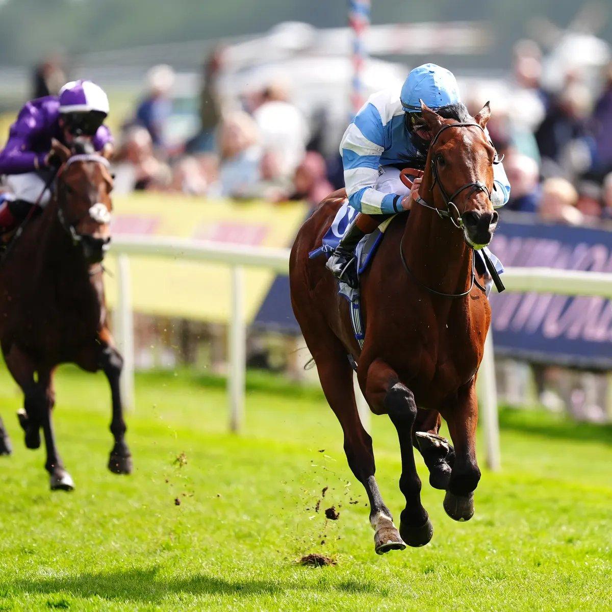 결승선 근처 관람 구역