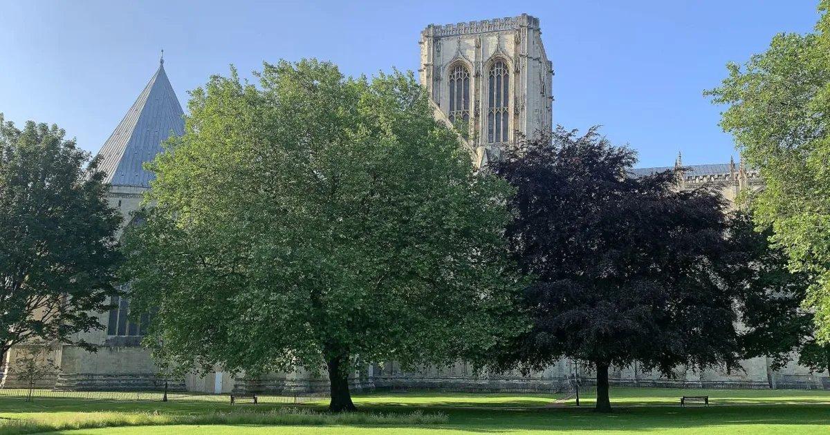 🌳 학장의 공원 (딘스 파크)