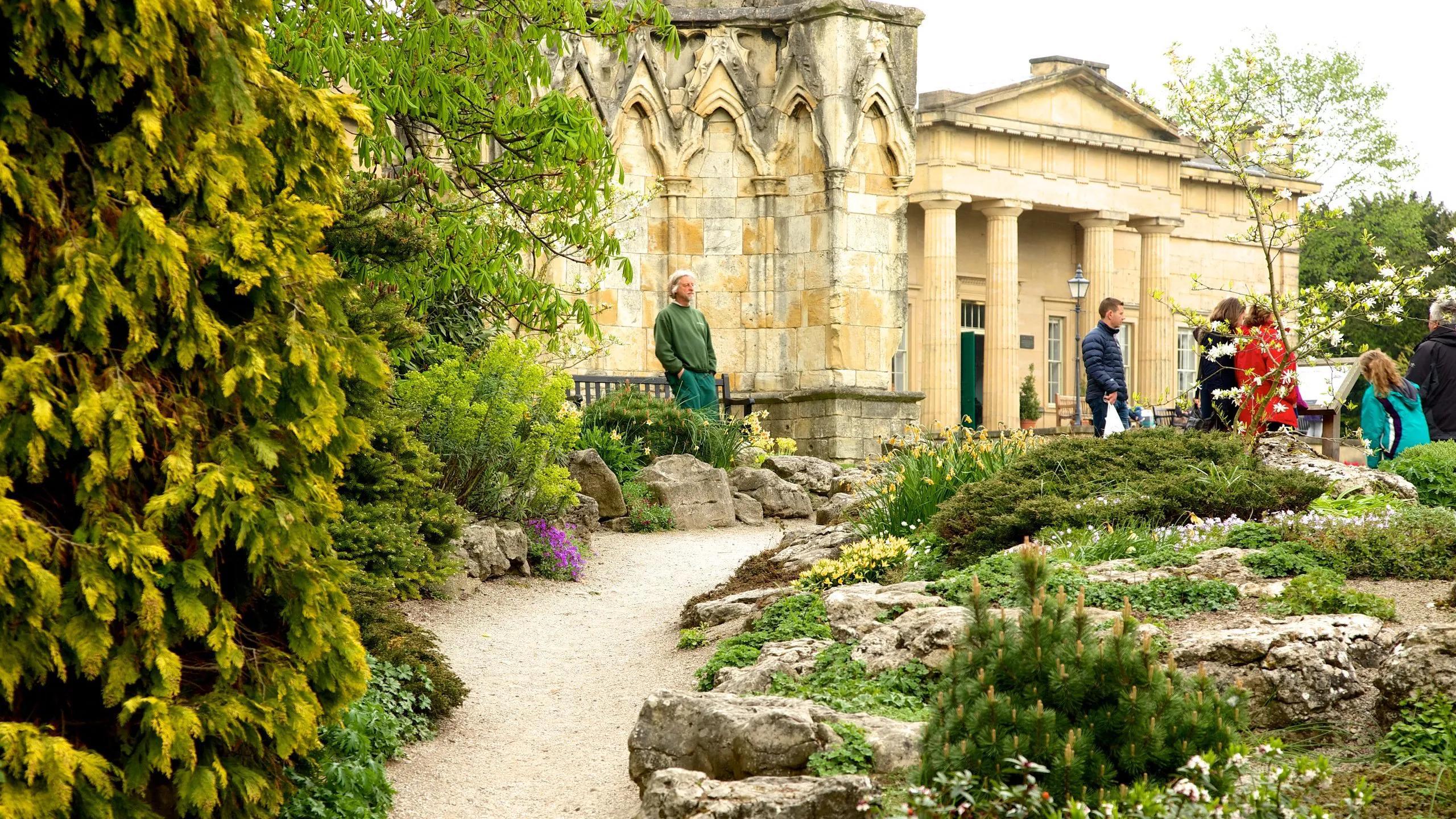 🌳 뮤지엄 가든 (Museum Gardens)