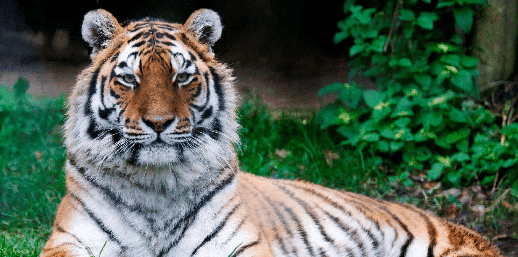 🦁 마웰 동물원(마웰 주)