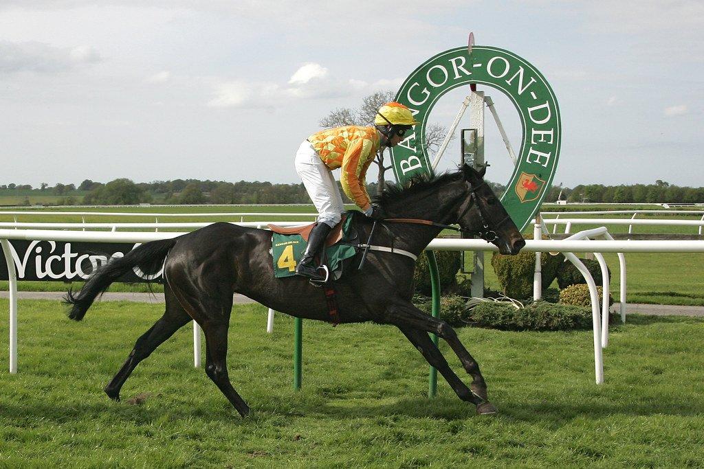 피니시 라인 근처 관람석