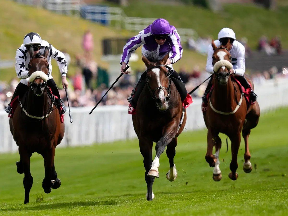 패독 (Paddock) 주변