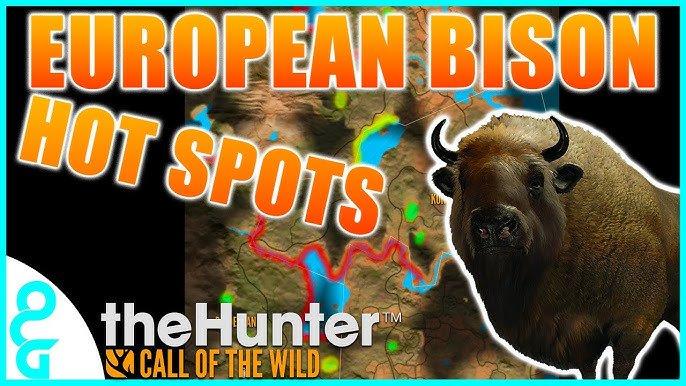 🦒 야생의 부름 동물원 (콜 오브 더 와일드 주)