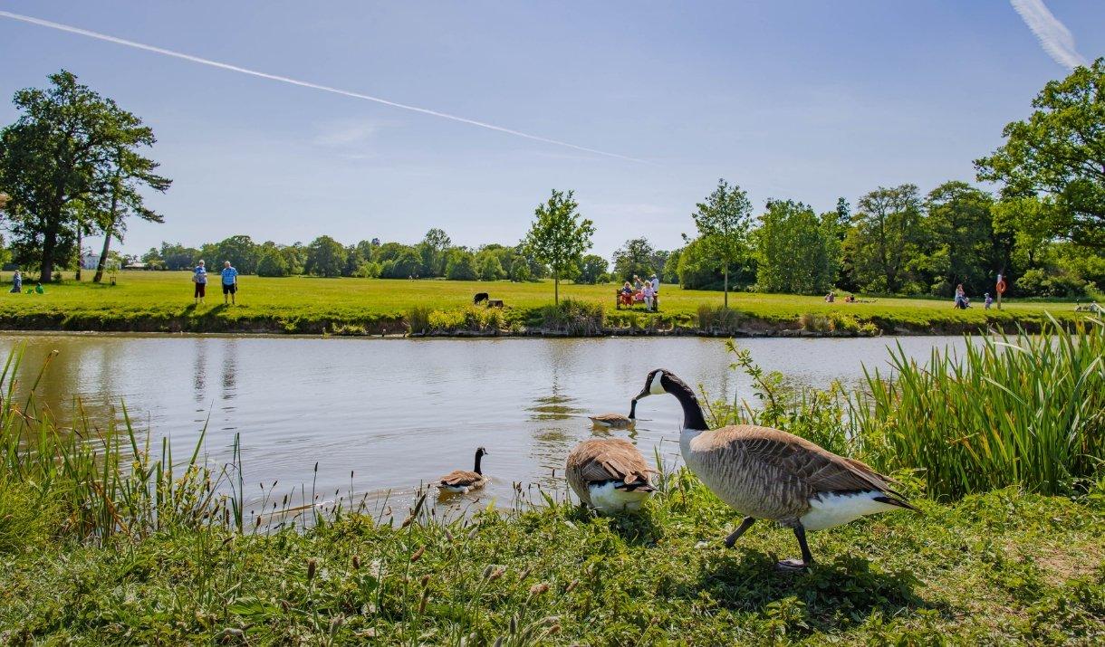 호수와 원 월드 가든 주변