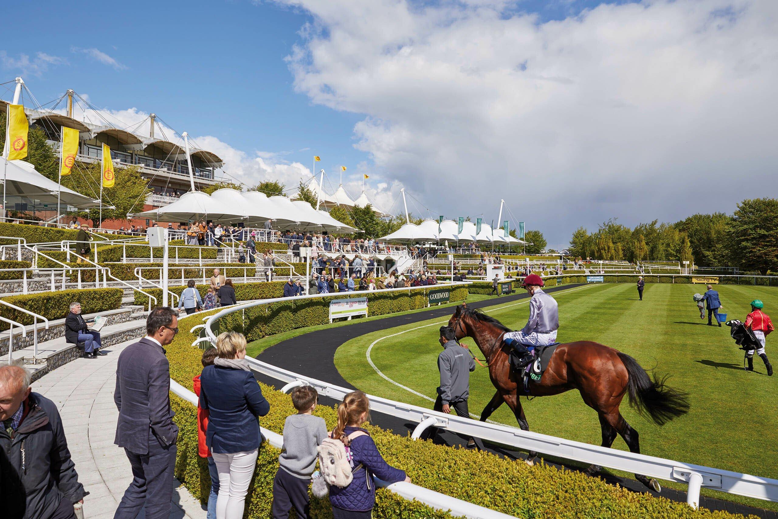 🏇 굿우드 경마장(Goodwood Racecourse)