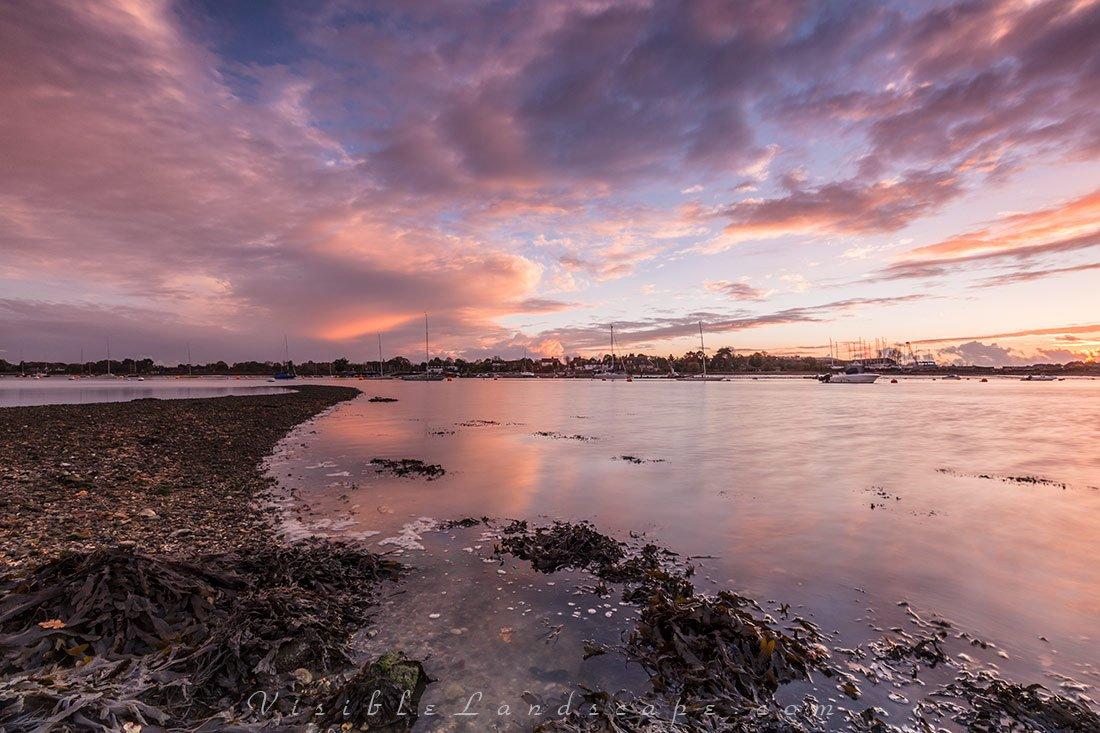 썰물 때 드러난 갯벌과 조류