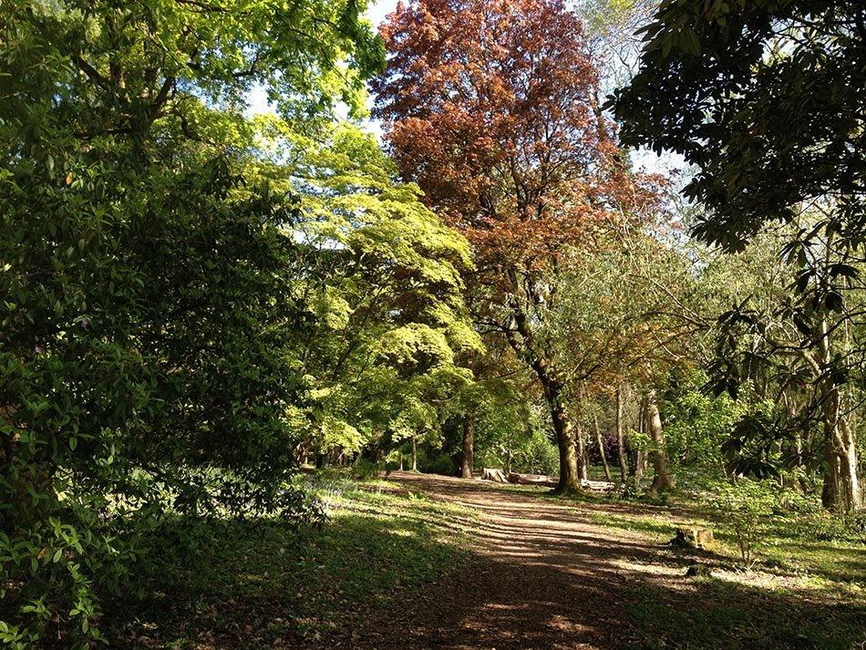 🌳 케픈 온 공원(파크 케픈 온)