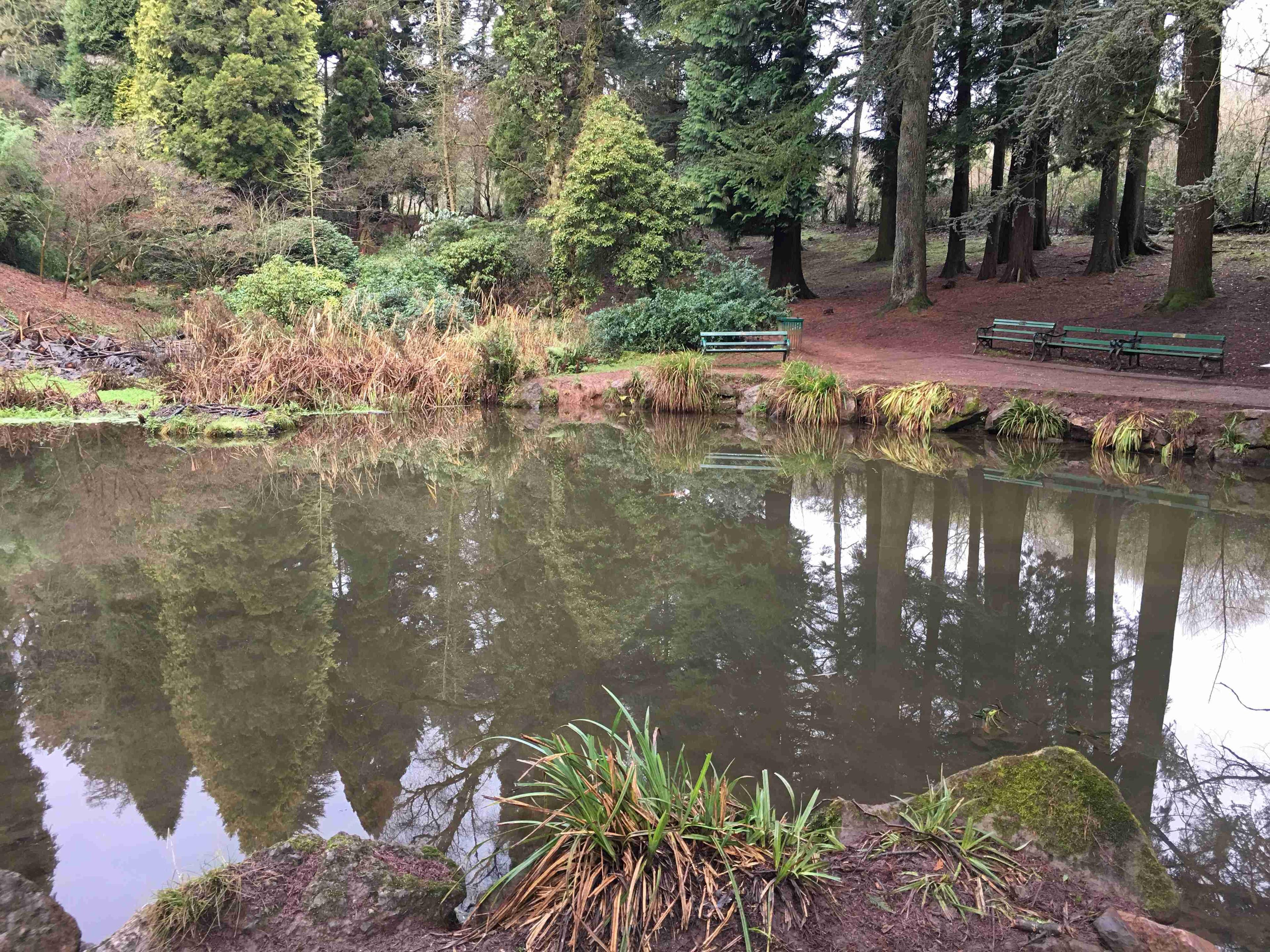 연못과 일본식 다리 주변