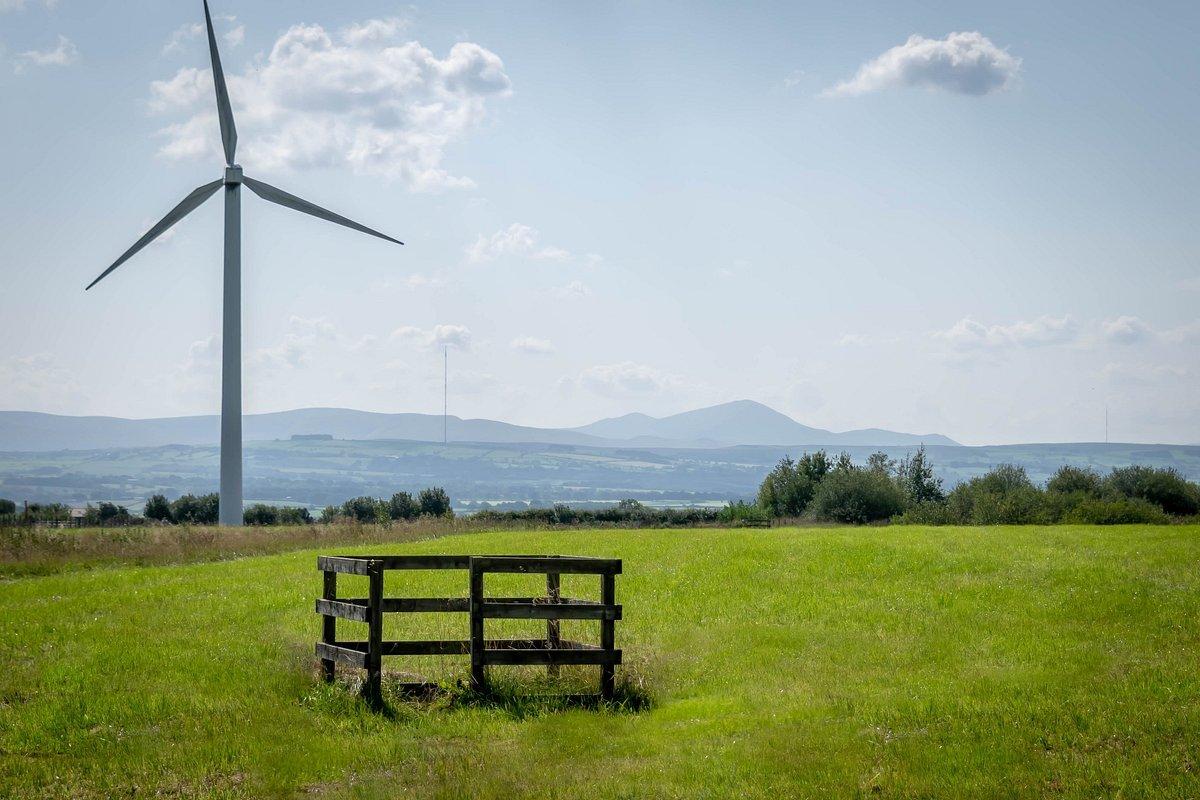 🌳 와치트리 자연보호지역 (워치트리 네이처 리저브)