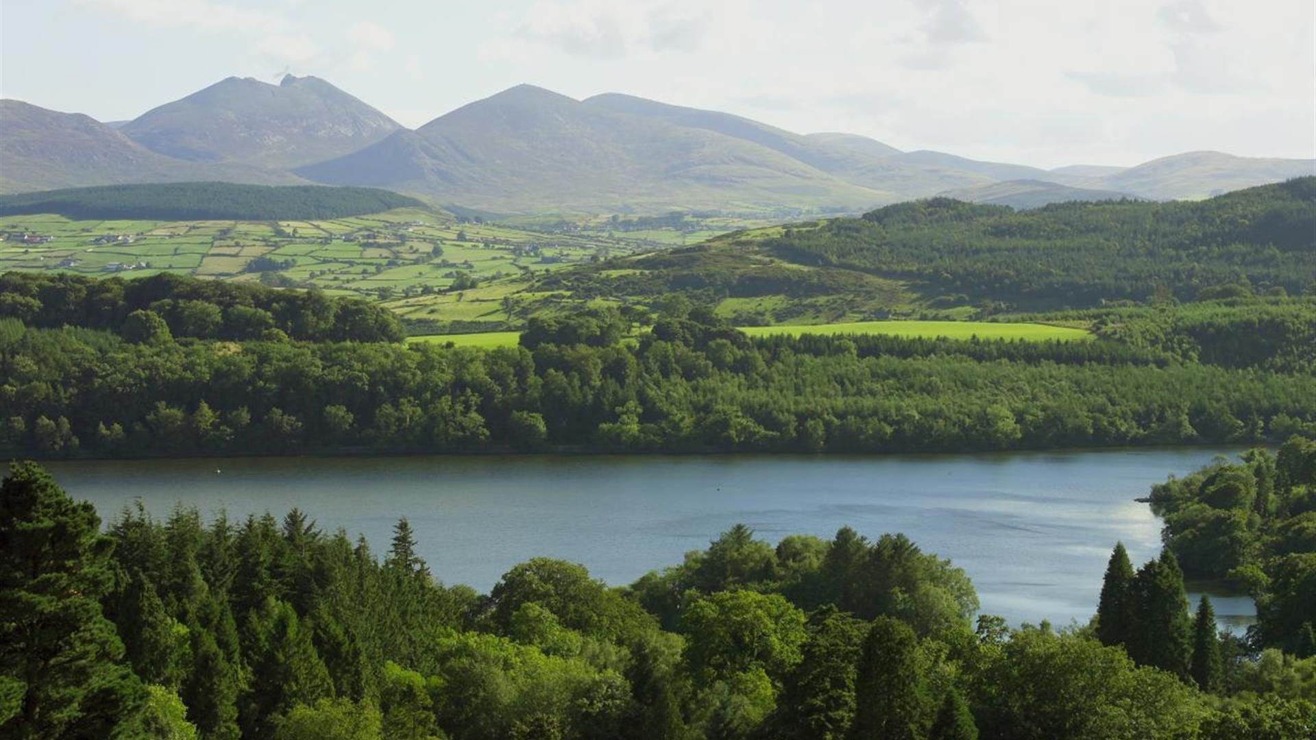 🌲 캐슬웰런 숲 공원(캐슬웰런 포레스트 파크)