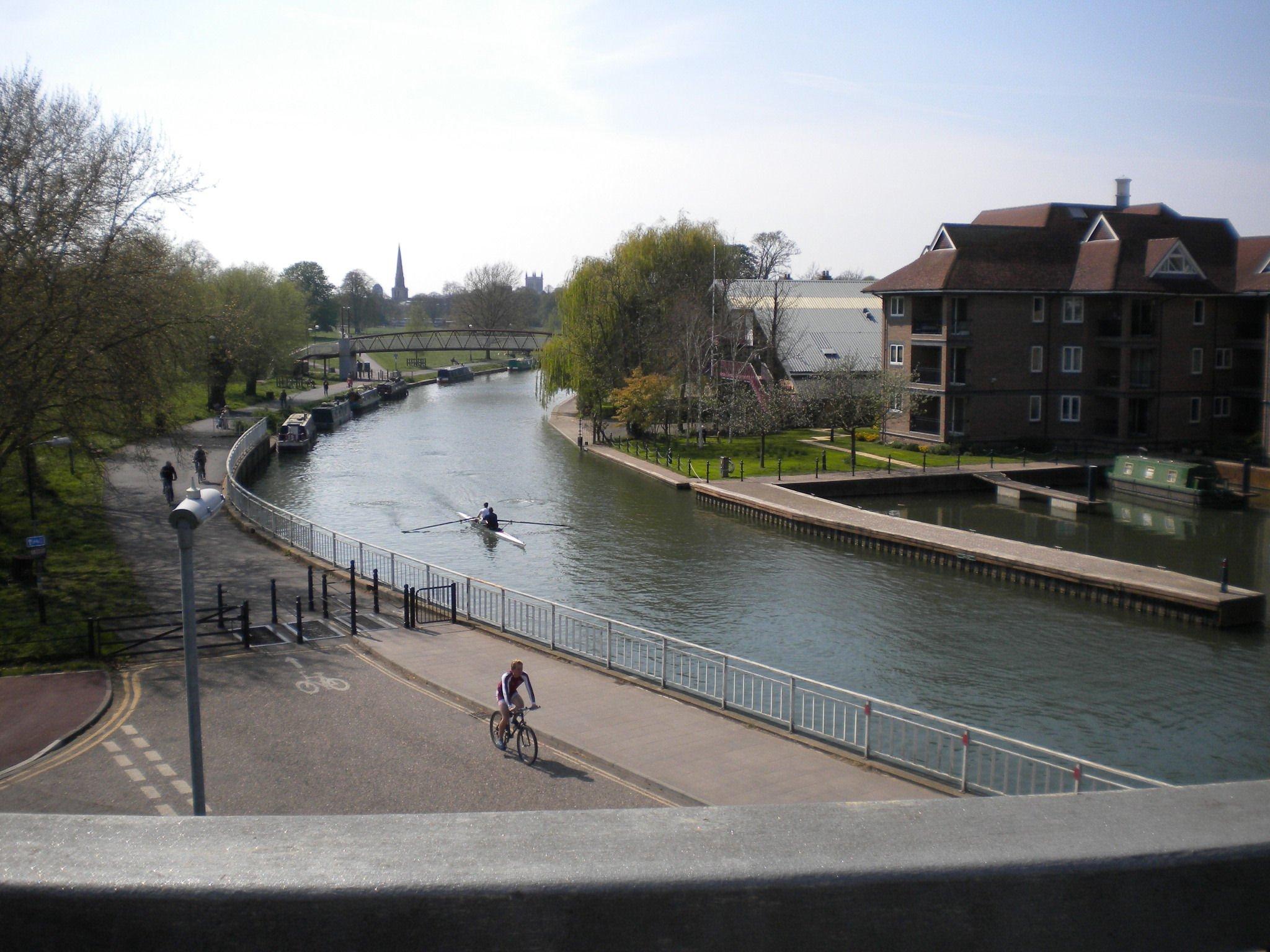 🌳 한여름 공유지 (미드서머 커먼)