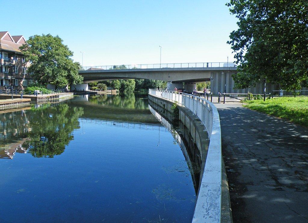 🌳 한여름 공유지 (미드서머 커먼) 이미지 4