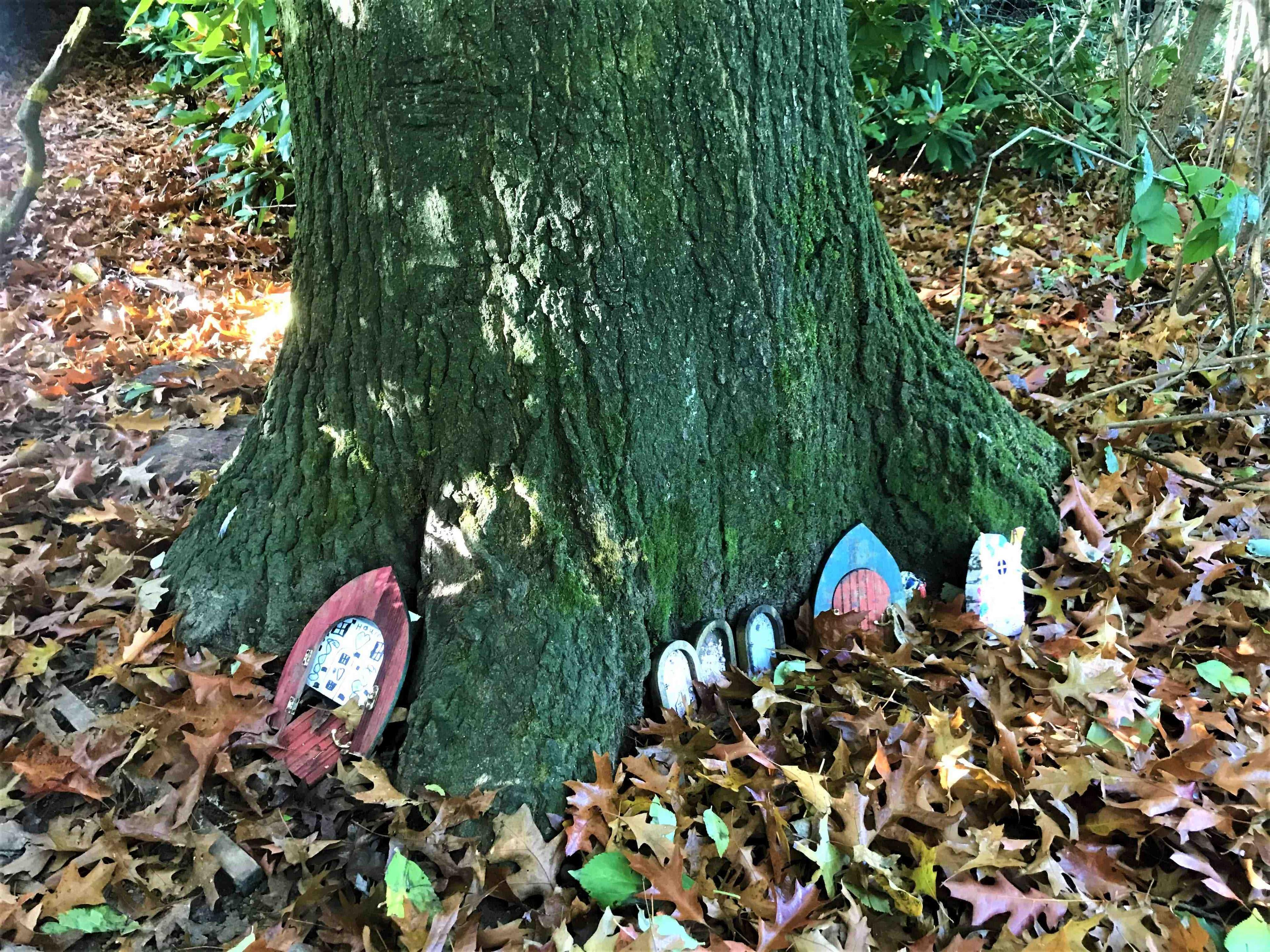 요정 정원 (Fairy Garden)