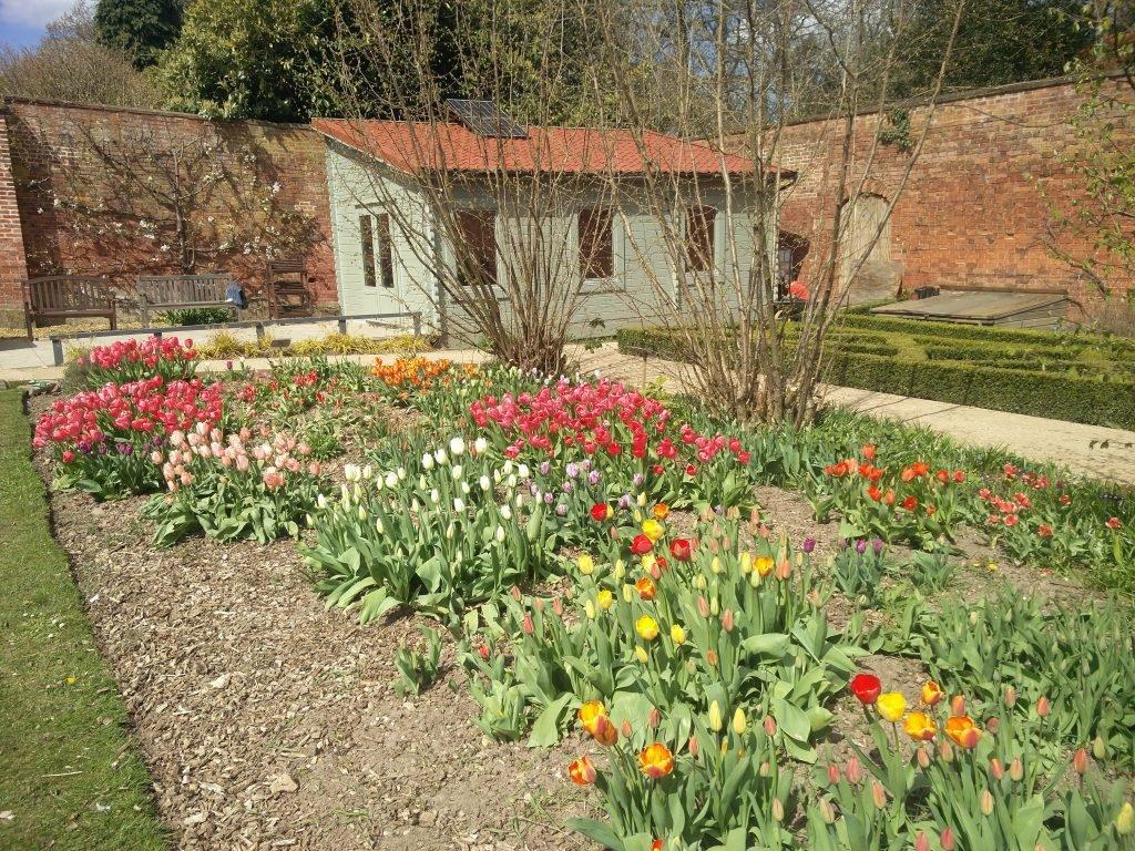 담장 정원 (Walled Garden)