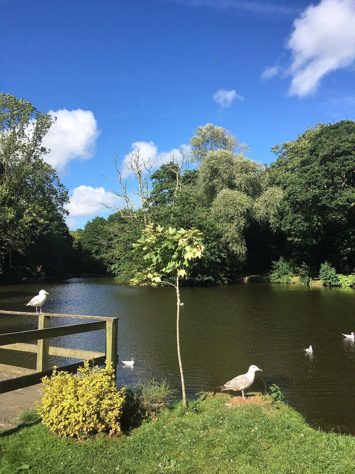 오리 연못 (Duck Pond)