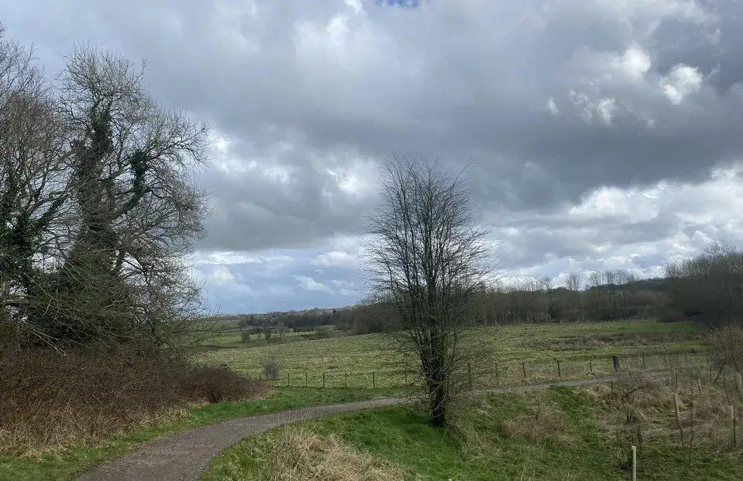 숲길 및 강변 산책로