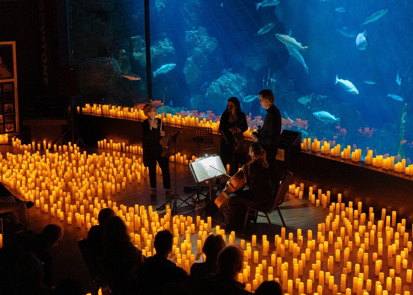 국립 해양 수족관 촛불 콘서트 장면