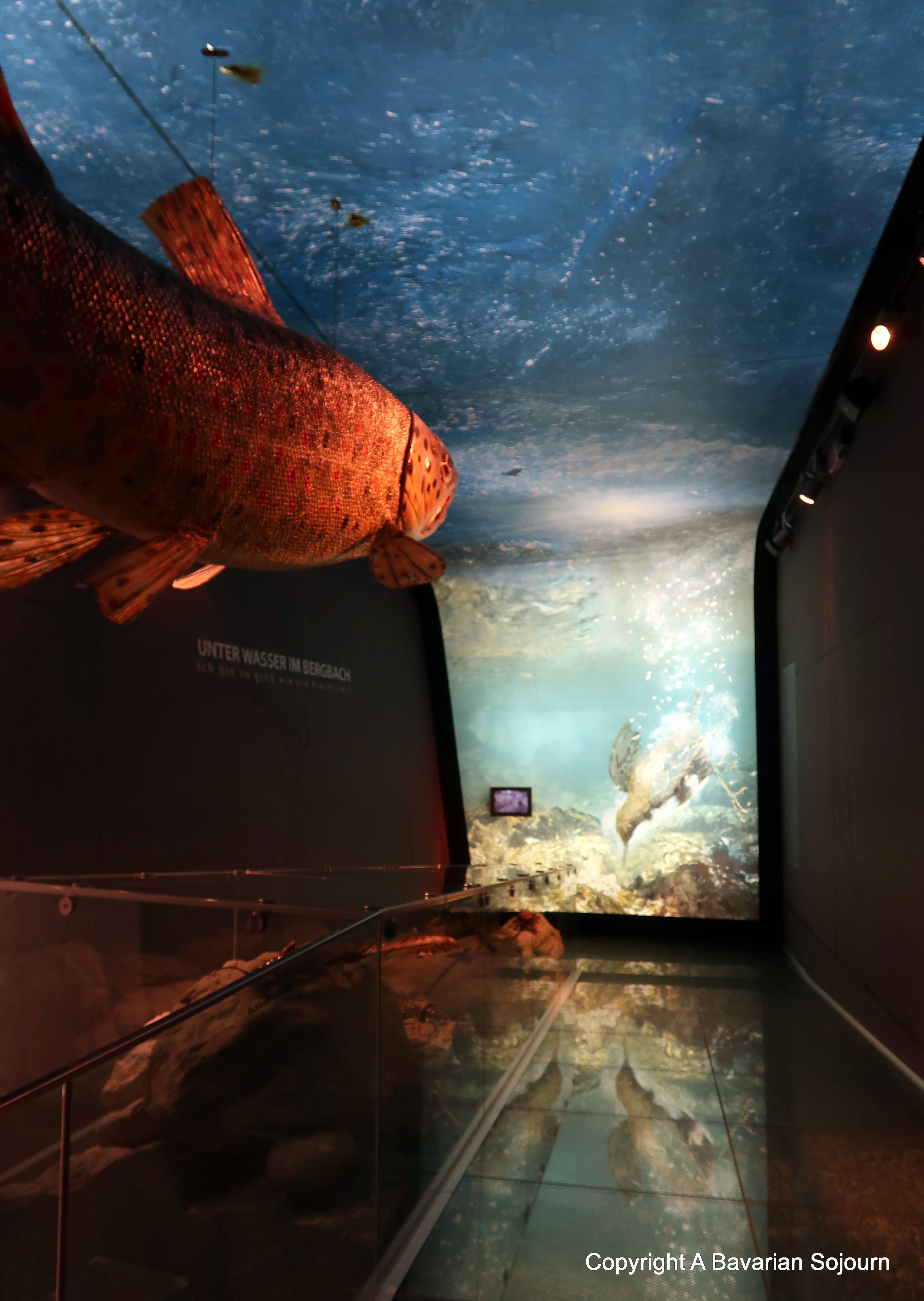 마멋 모형 및 전시 공간