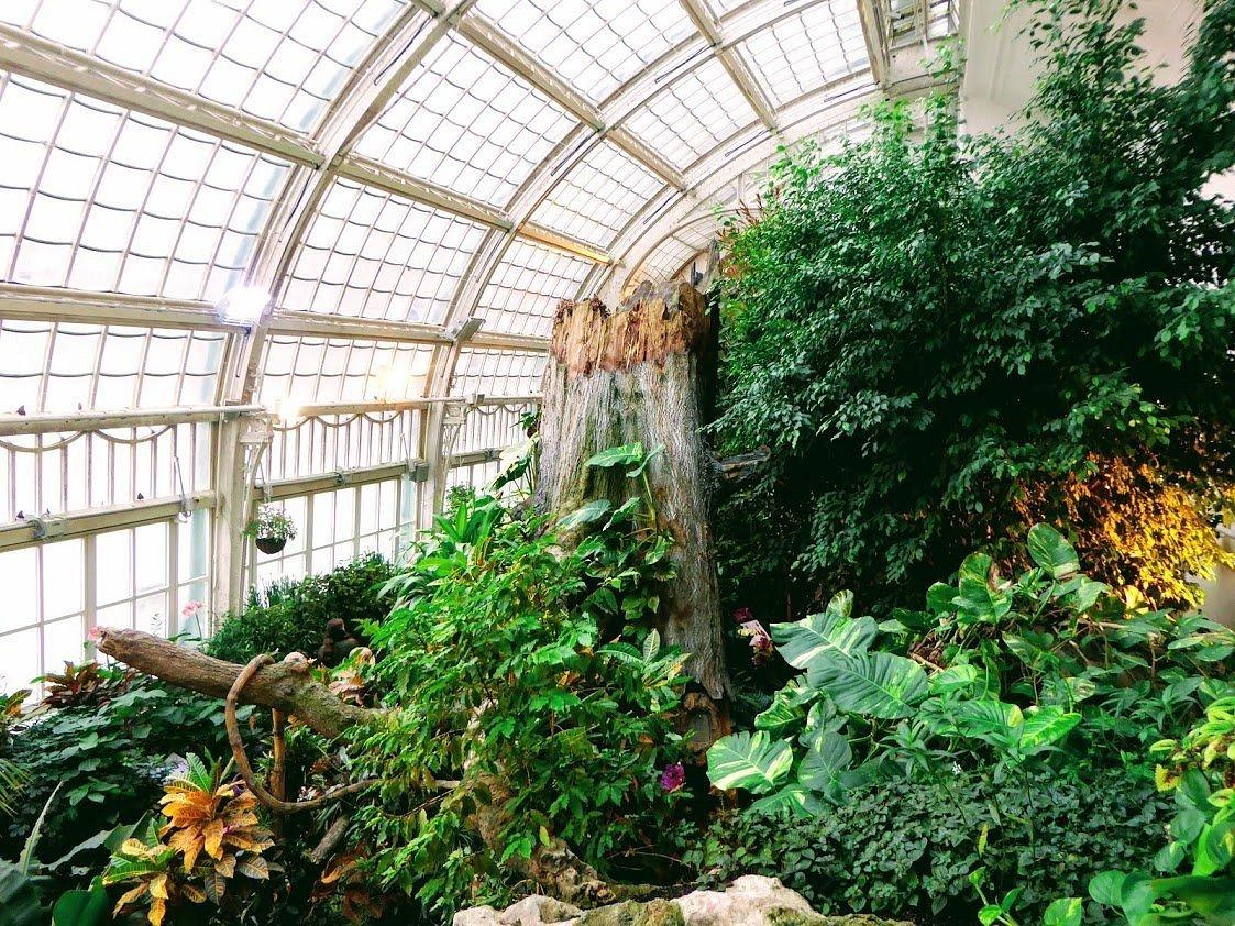 🦋 나비의 집(슈메털링하우스)