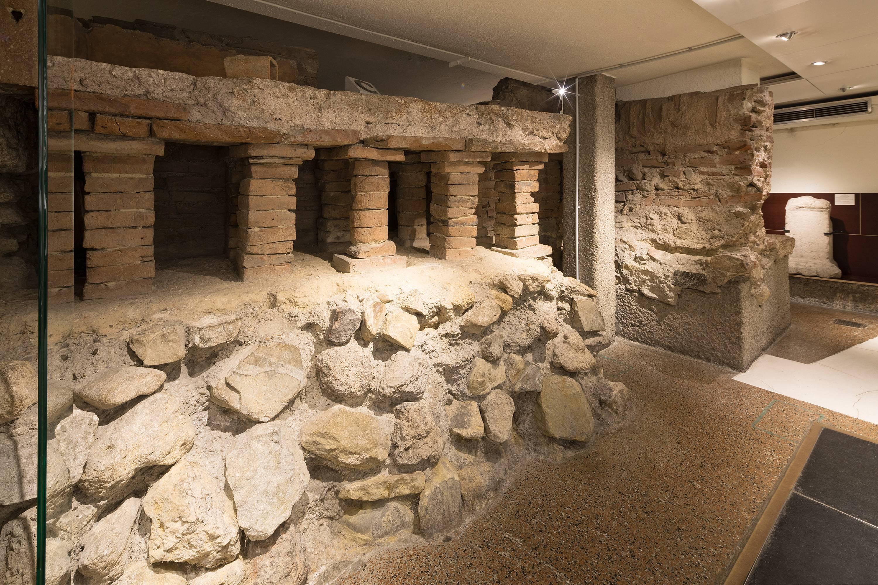 🏛️ 빈 박물관 뢰머무제움