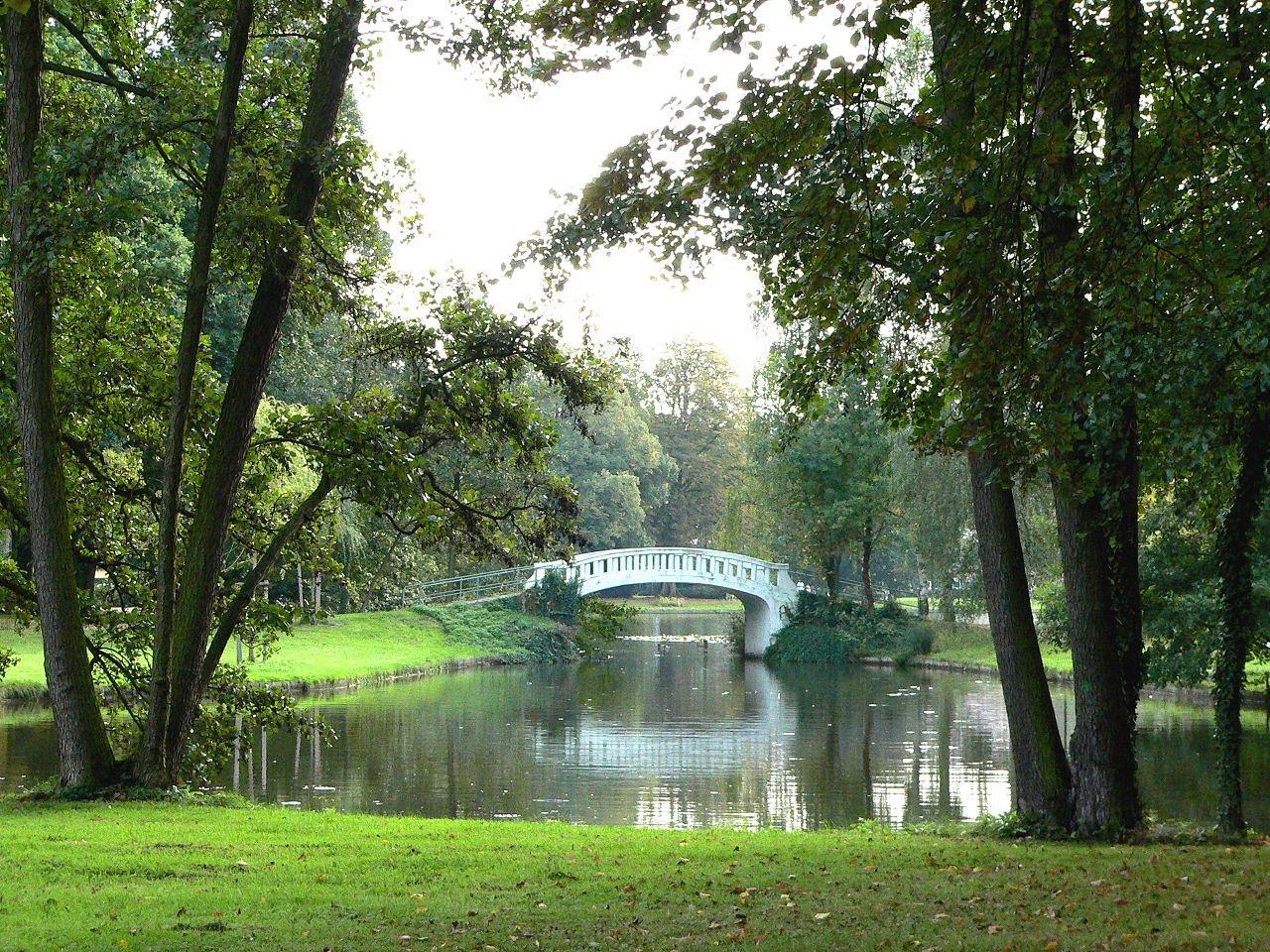 공원 내 연못과 다리