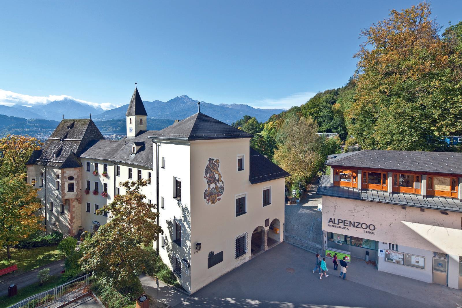 동물원 상단 전망 지점