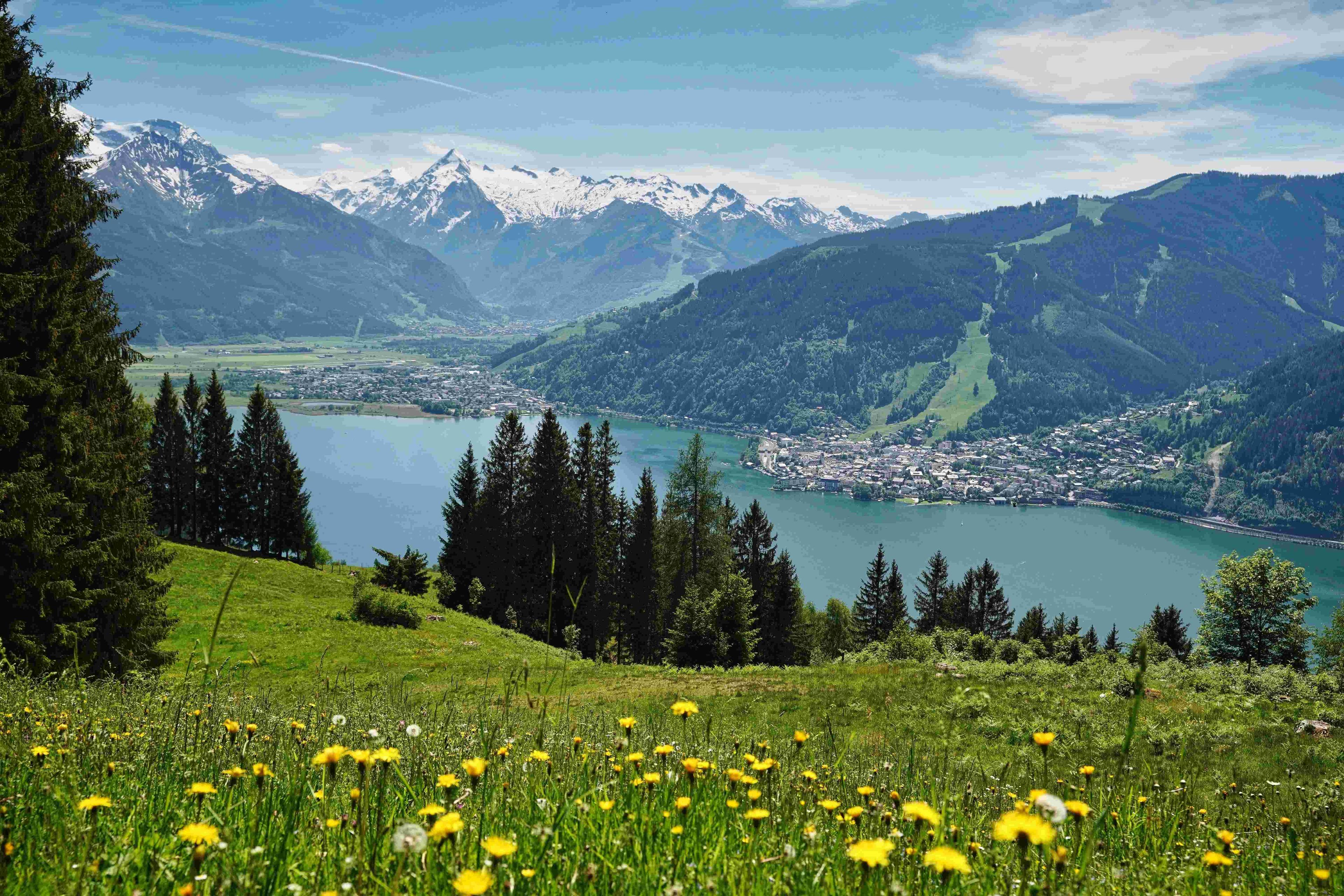 호숫가 및 수영장 주변