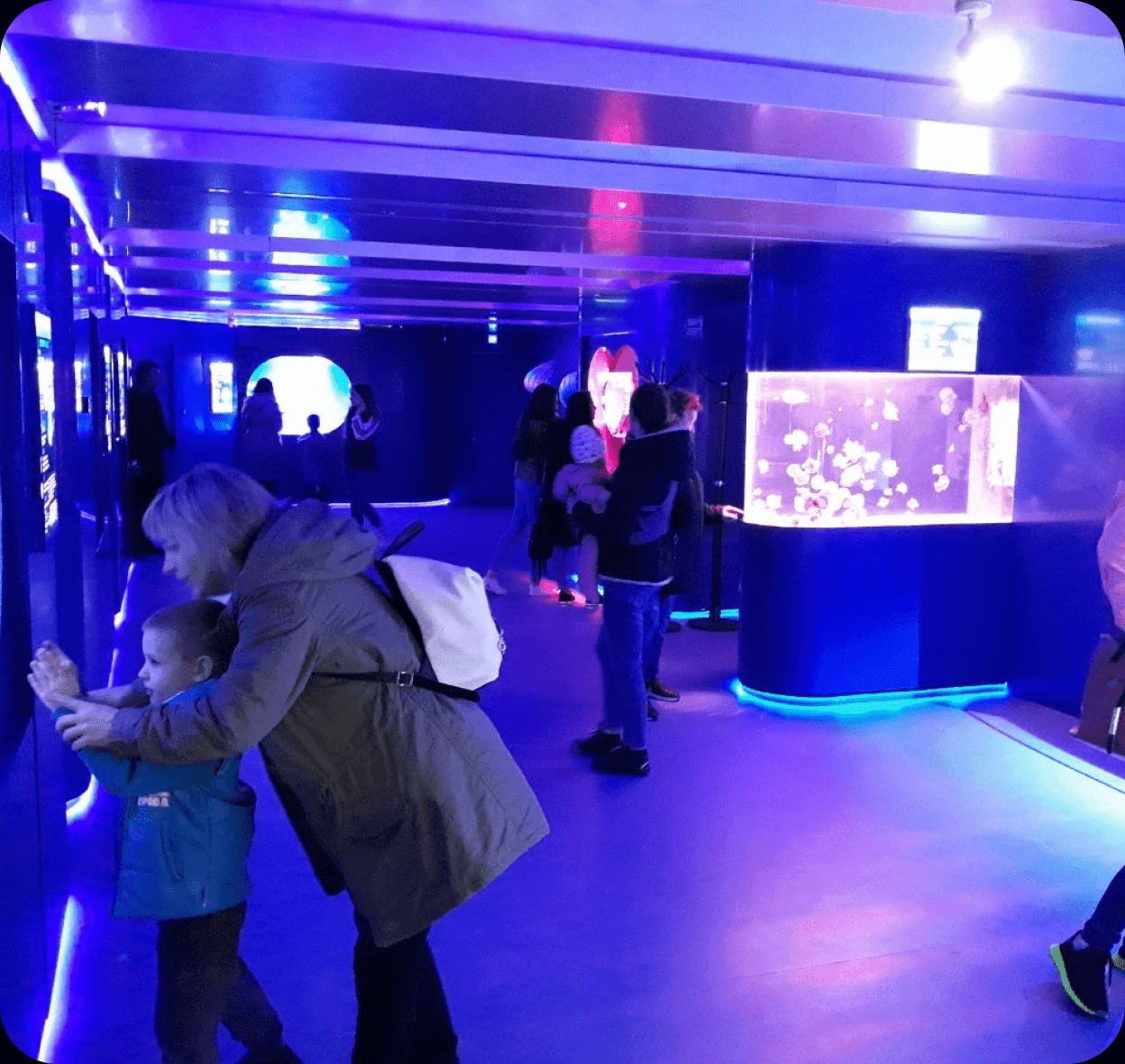 🐙 해파리 박물관 (무제이 메두즈)