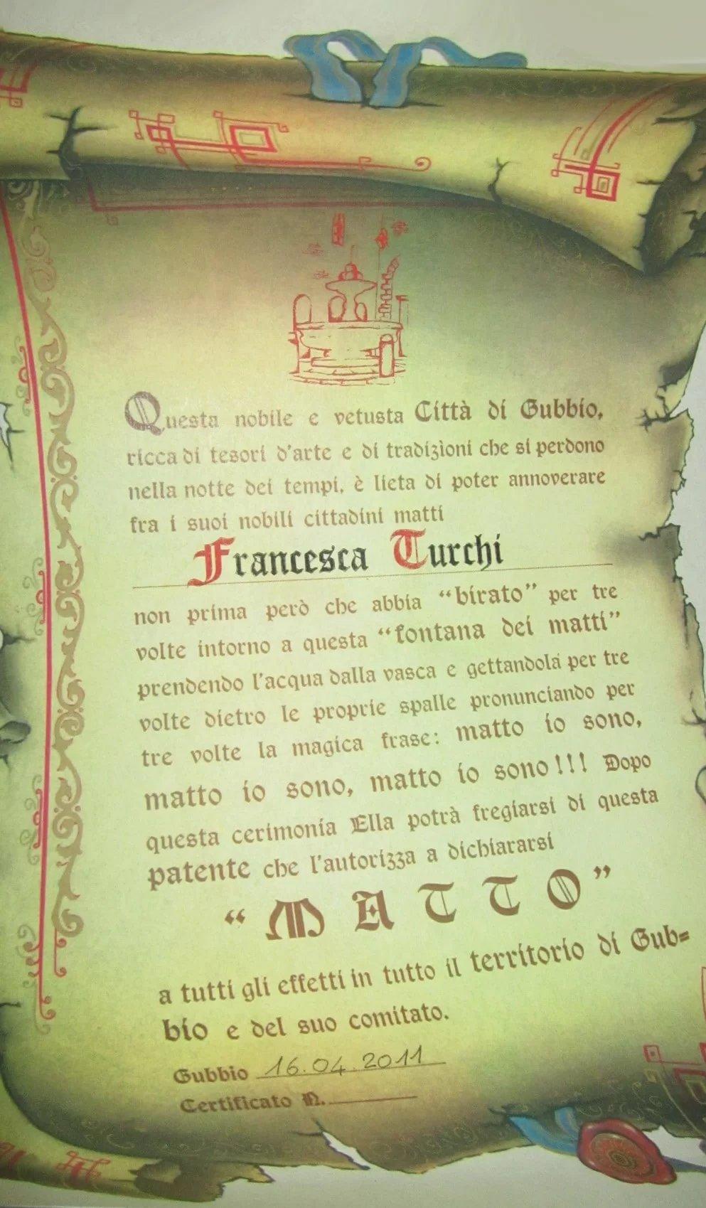 '미친 사람 면허' 인증샷