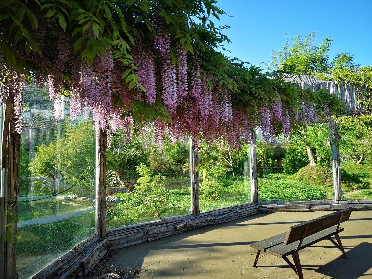 🦁 나폴리 동물원 (로 주 디 나폴리)