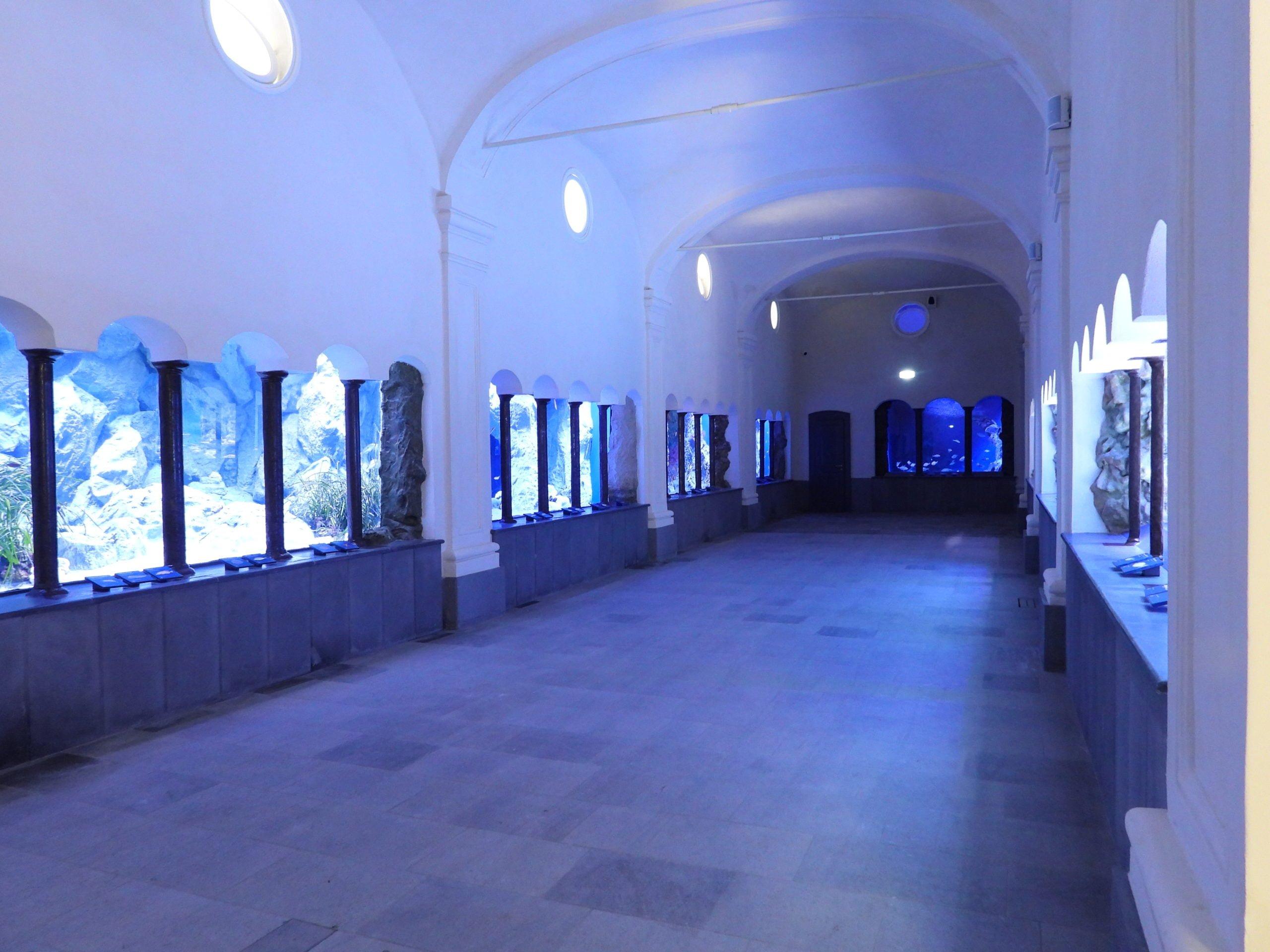 🐠 나폴리 수족관(아쿠아리오 디 나폴리)