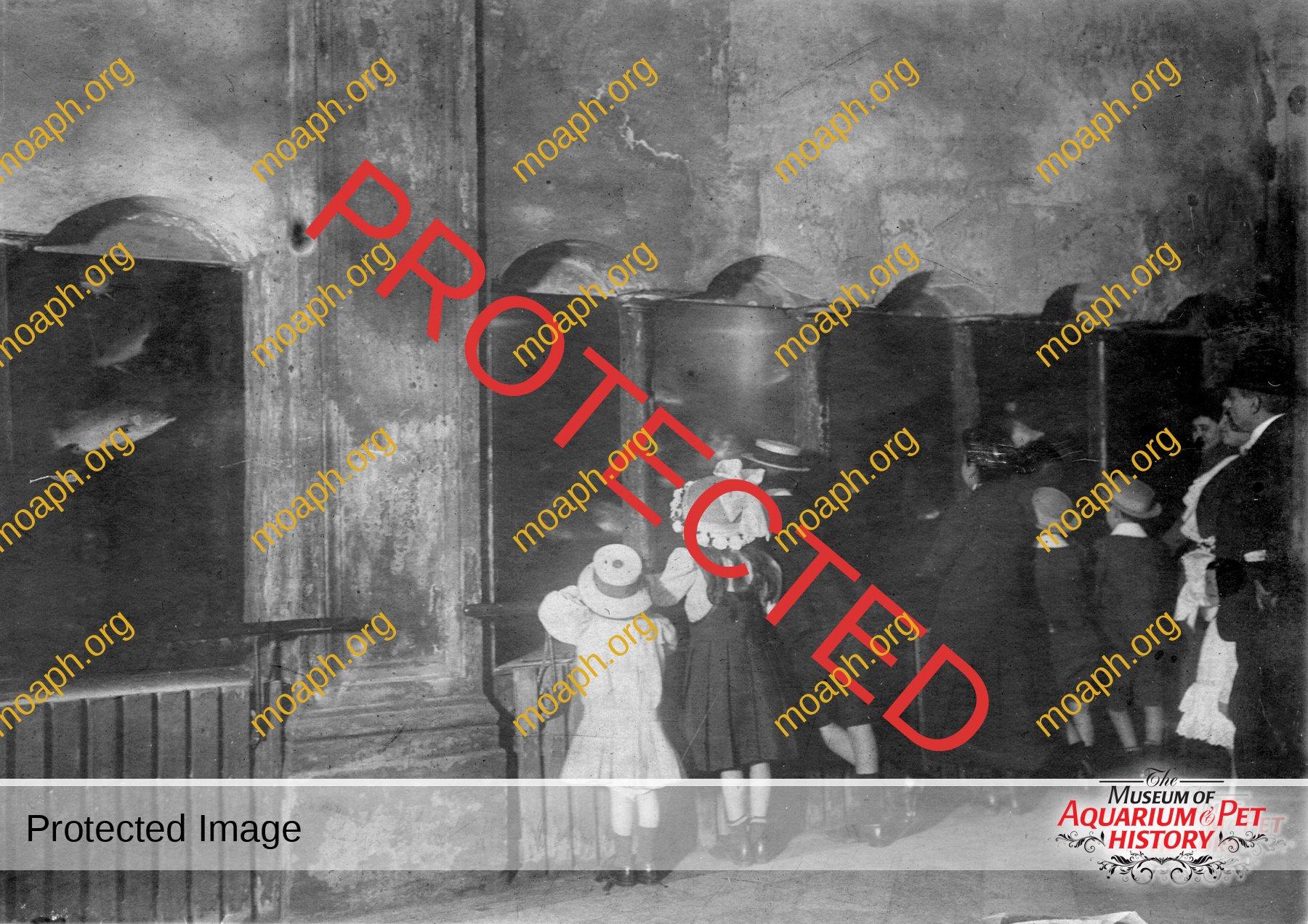 역사적인 아치형 수조 통로