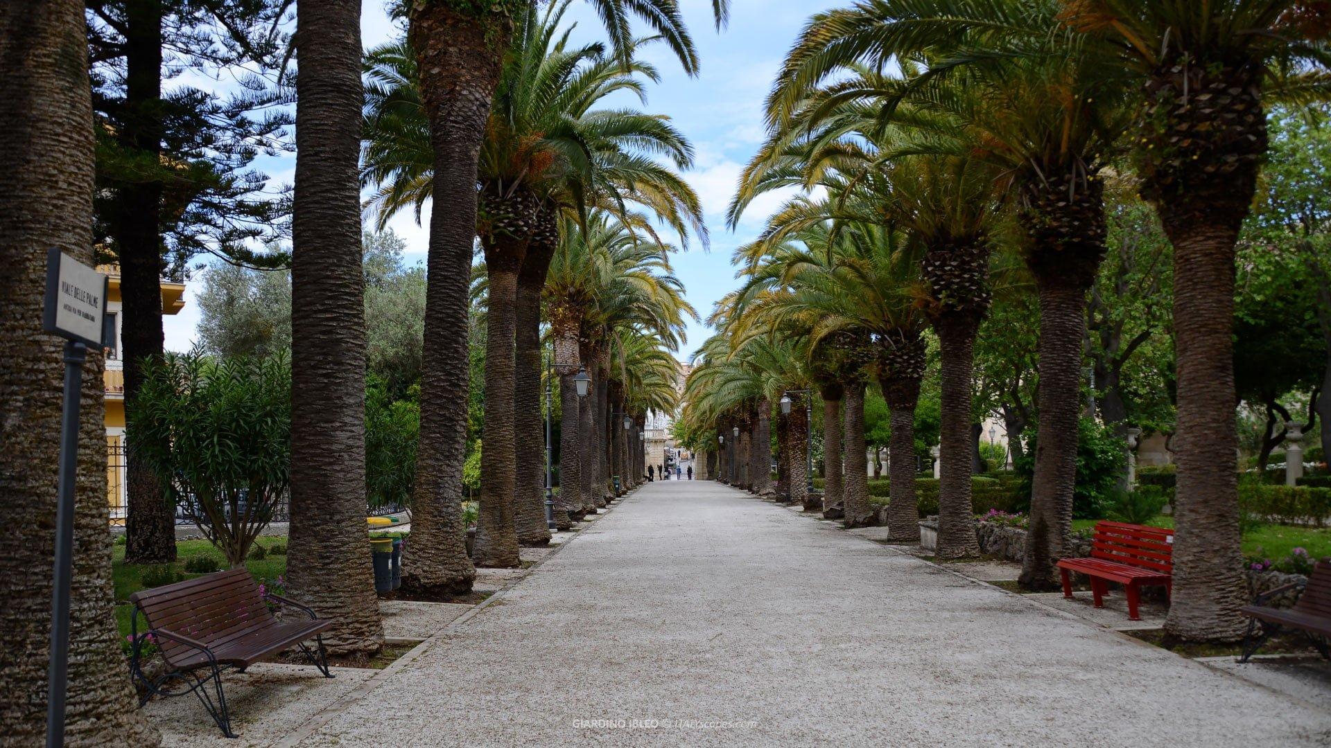 야자수(대체 수종) 길