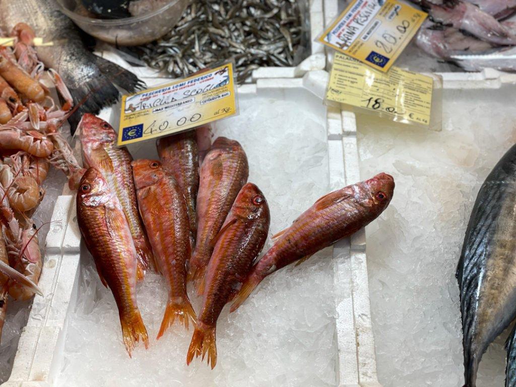 해산물 판매 구역 (Pescheria)