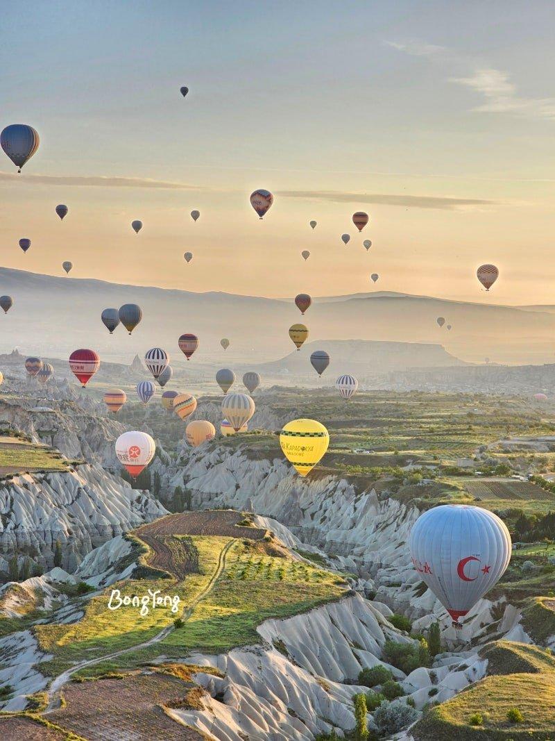 🌊 터키옥색 트라보코(트라보코 투르키노)