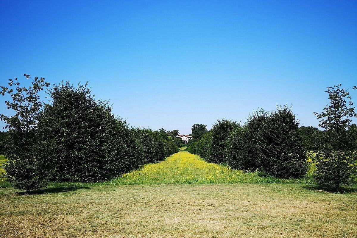 🌳 몬차 공원(Parco di Monza)