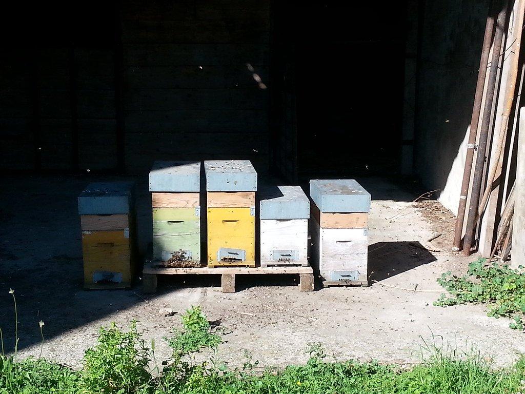 카시나 린테르노 (Cascina Linterno) 주변