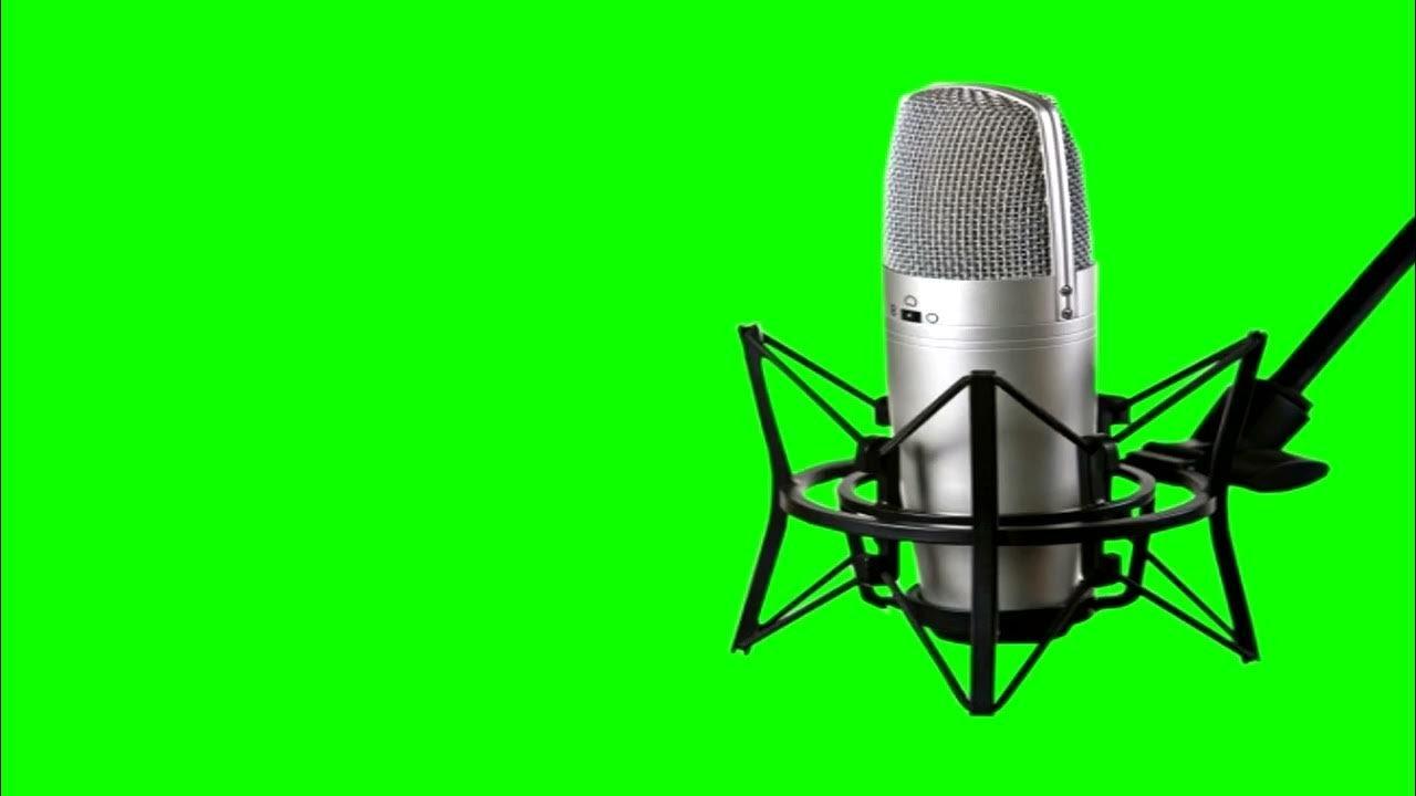 그린 스크린 체험존