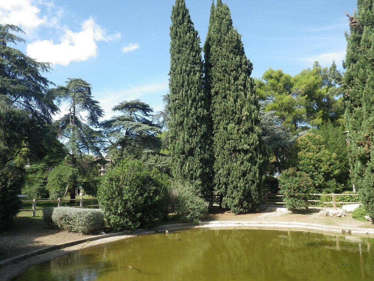 파르코 두에 주뇨 여름 행사