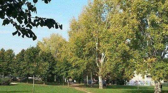 🌳 감베리니 초승달 정원 (자르디노 루네타 감베리니)