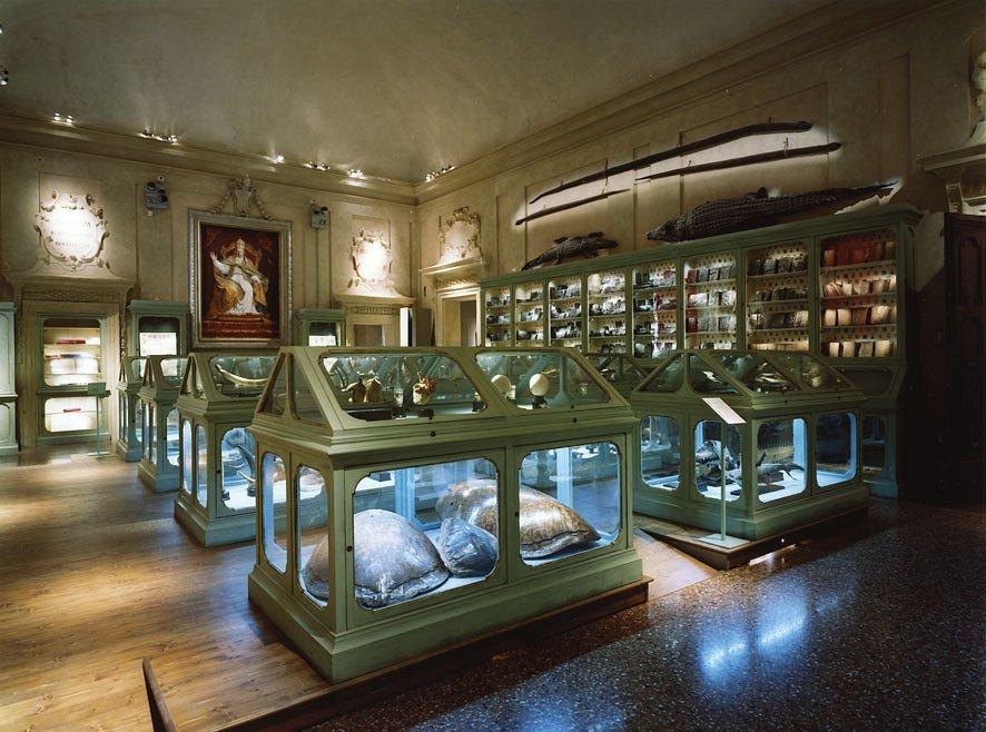 🏛️ 포조 궁전 박물관 (무세오 디 팔라초 포지)