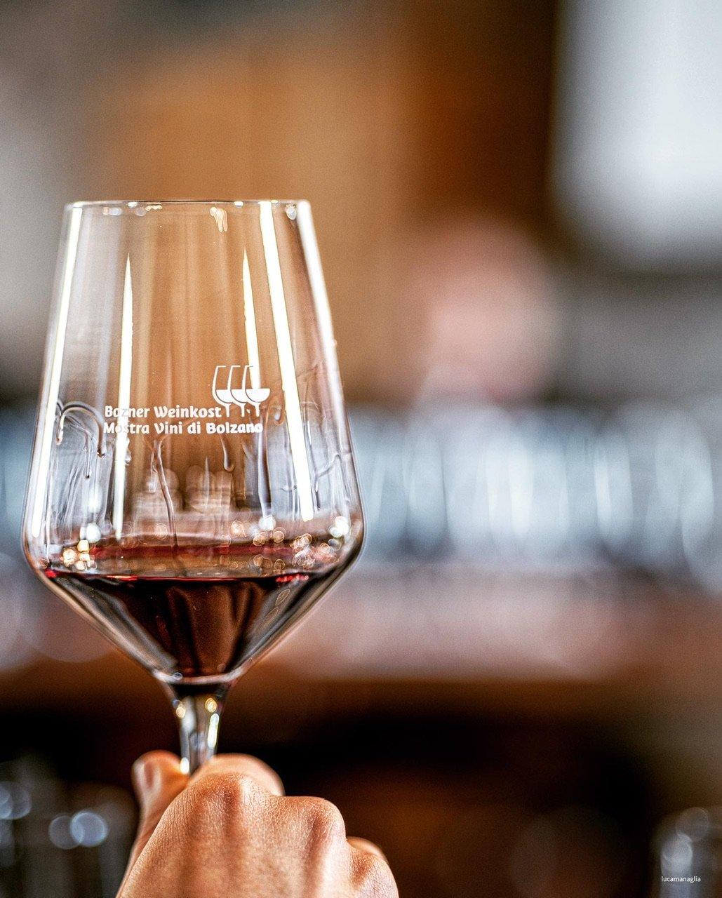 볼차노 와인 전시회 풍경