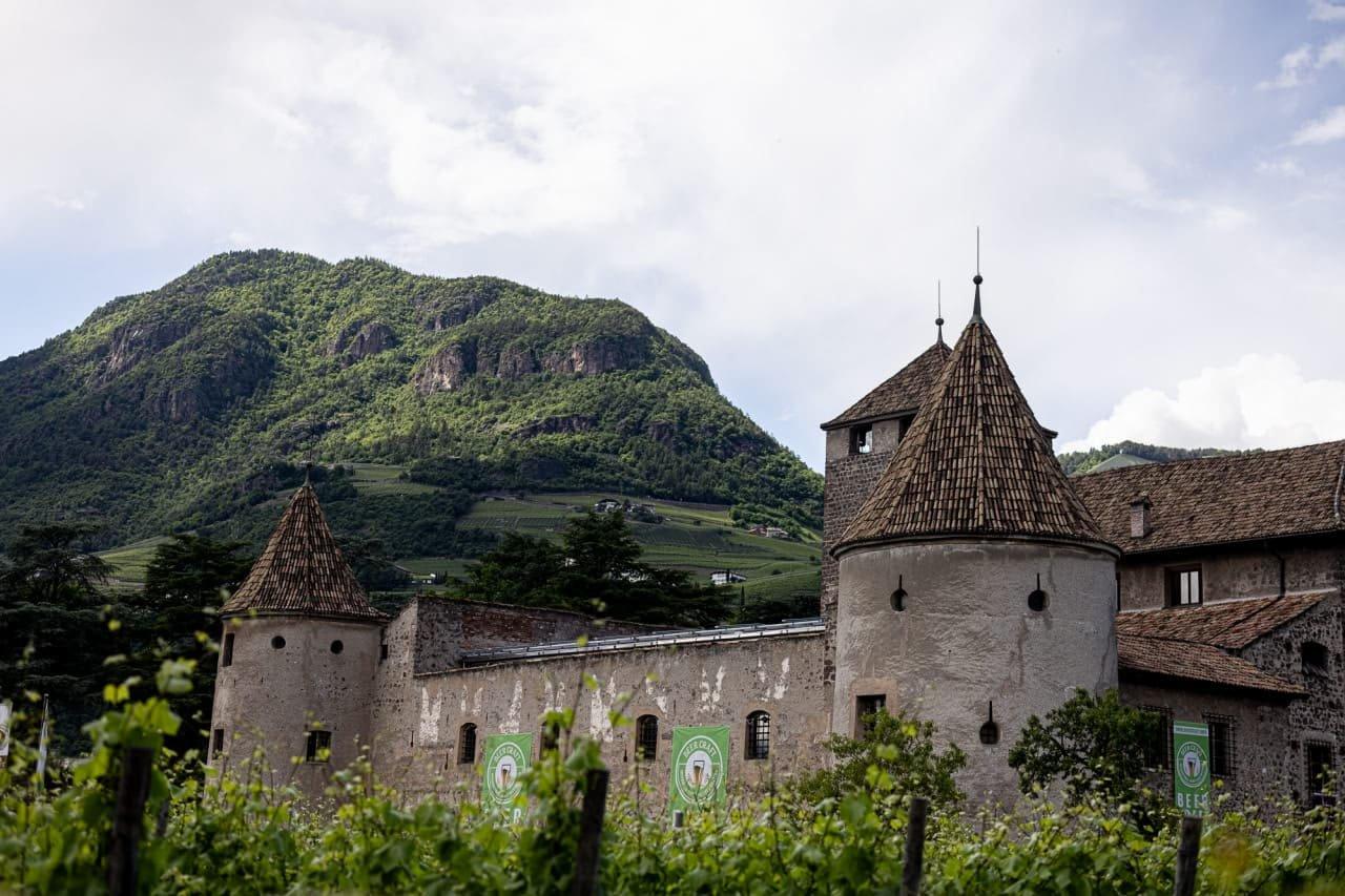 마레치오 성 크래프트 비어 페스티벌