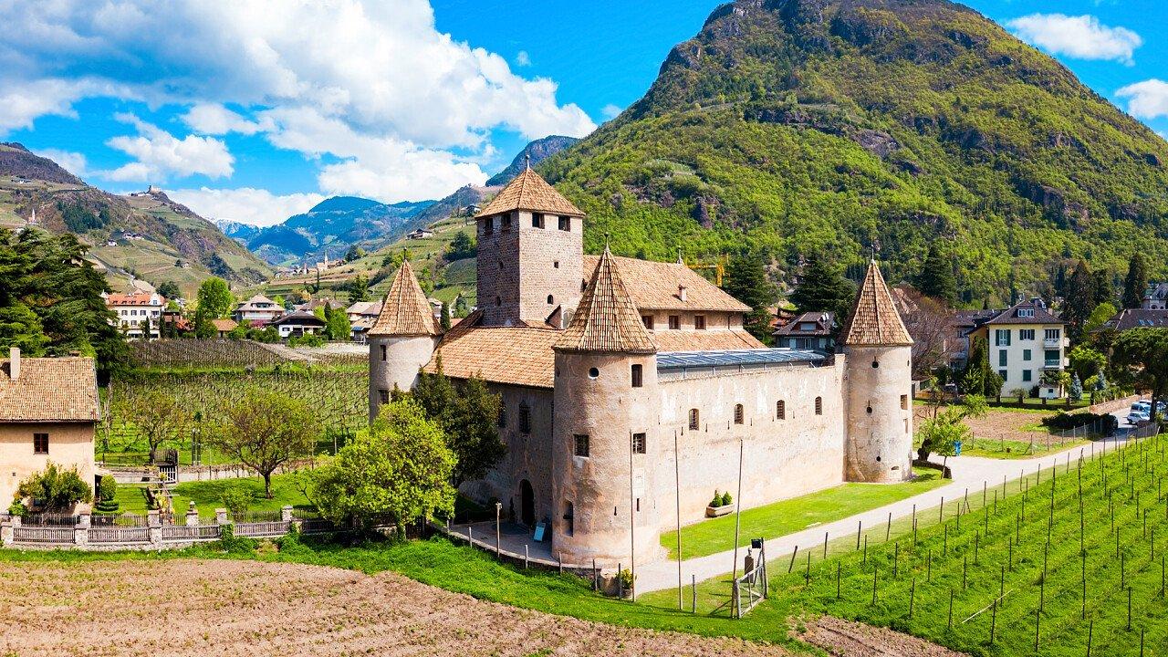 성 주변 포도밭