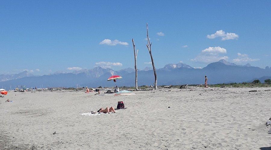 비아레조, 이탈리아