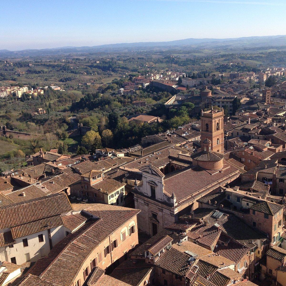 만자의 탑 정상