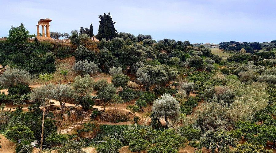 🌳 콜림베트라 정원 (자르디노 델라 콜림베트라)
