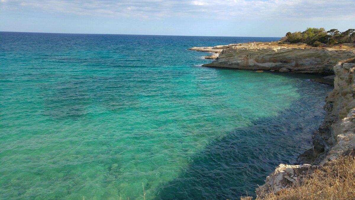 🏖️ 젤소미네토 오아시스(오아시 젤소미네토)