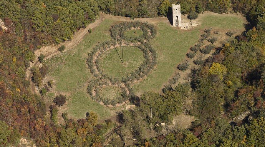 🌳 성 프란체스코의 숲(보스코 디 산 프란체스코)