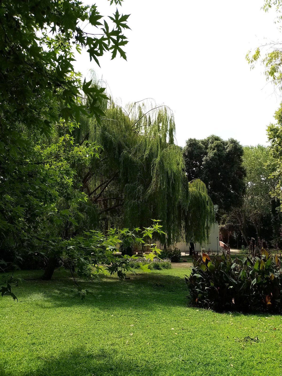 빌라 아델레 여름 공연 모습